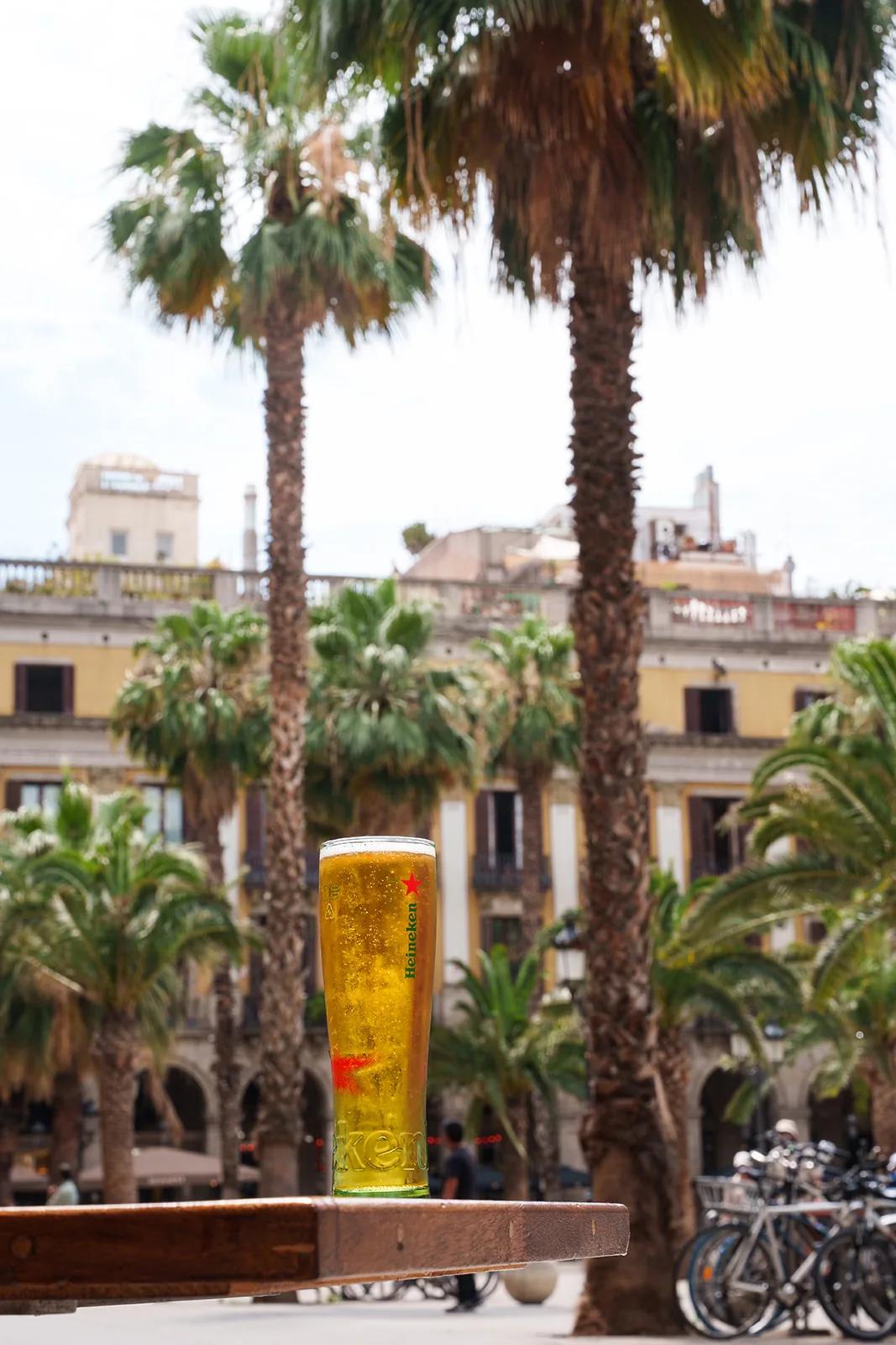 Cerveza en la terraza, bajo las palmeras